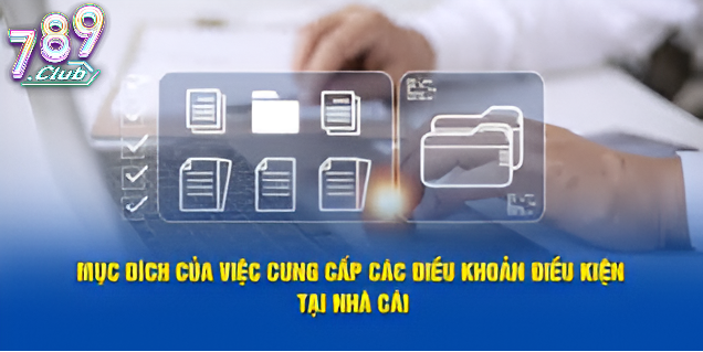 Quy Tắc Sử Dụng Dịch Vụ Và Hành Vi Bị Hạn Chế
